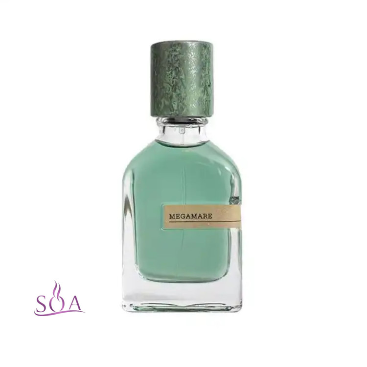 عطر نیش ارتو پاریسی مگاماره ۵۰ میل با رایحه عمیق دریایی و اقیانوسی